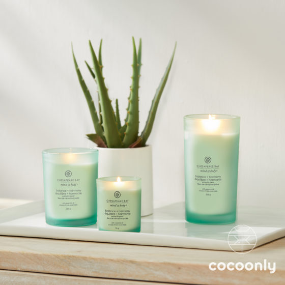 Bougie-chesapeake-bay-candle-cocoonly-équilibre-harmonie
